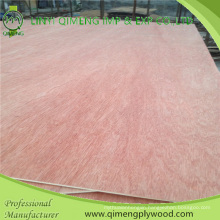 Poplar or Hardwood Core Dbbcc Grade 2.5mm Bintangor Plywood